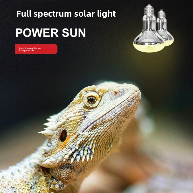 Reptizoo Sürüngen Güneş Lambas - Calcium Powder Reptile incelemesi ve fiyatı