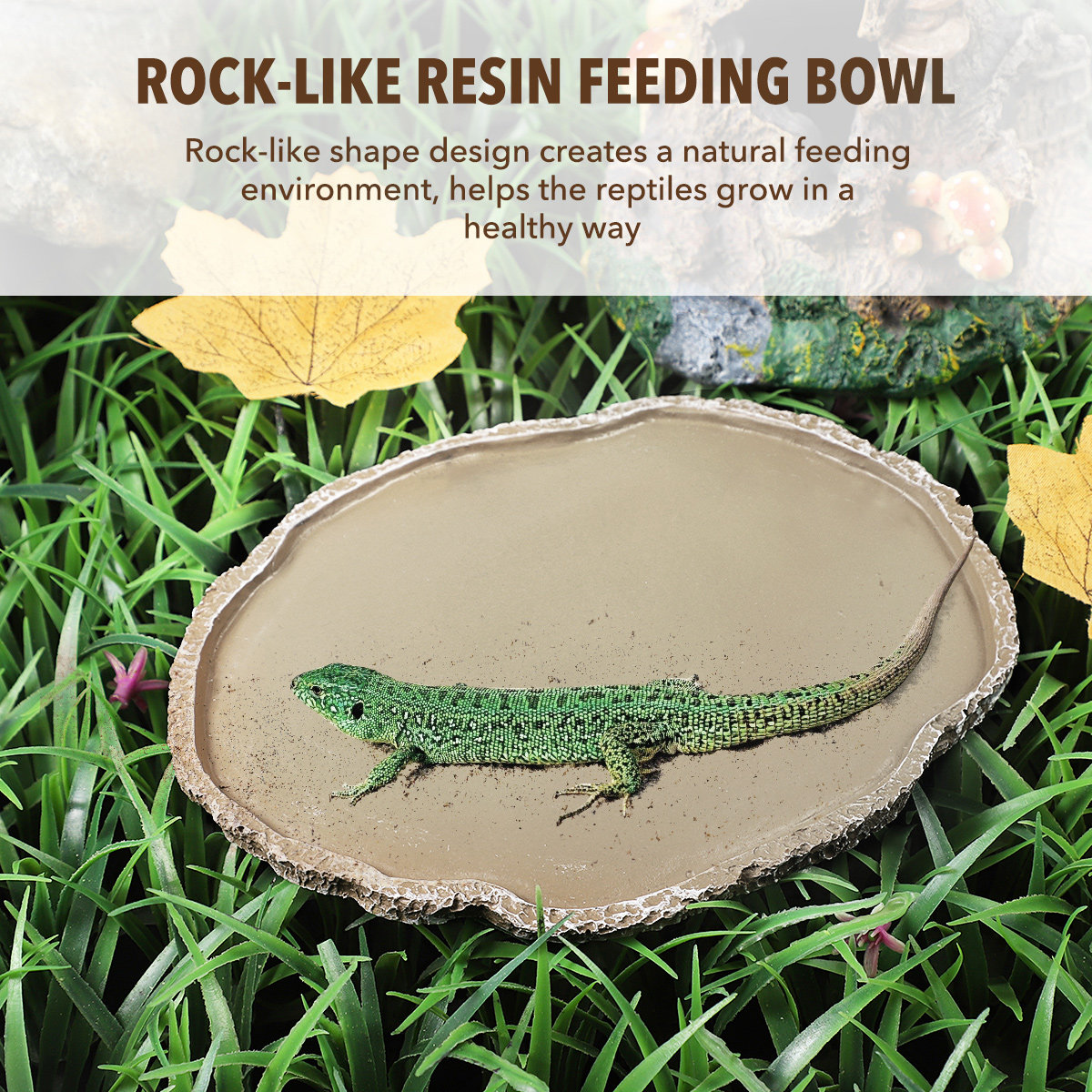 Reçine Sürüngen Besleme Kabı S - Water Dish Reptile incelemesi ve fiyatı