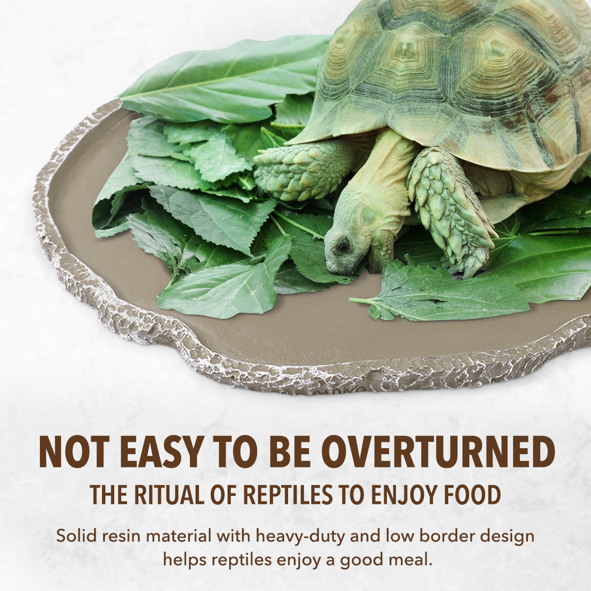 Reçine Sürüngen Besleme Kabı S - Water Dish Reptile incelemesi ve fiyatı