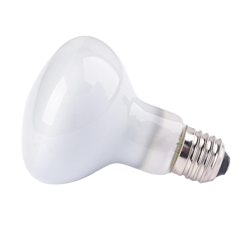 Kaplumbağa Sıcaklık Kontrol Ci - Basking Bulb Halogen incelemesi ve fiyatı