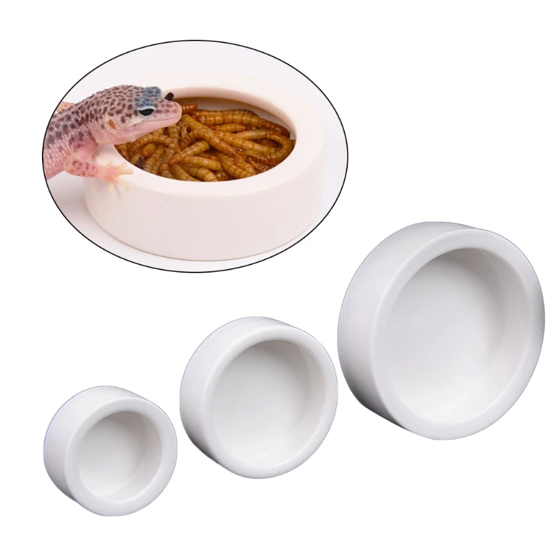 Sürüngen Mama Kabı Kaçış Önley - Water Dish Reptile incelemesi ve fiyatı