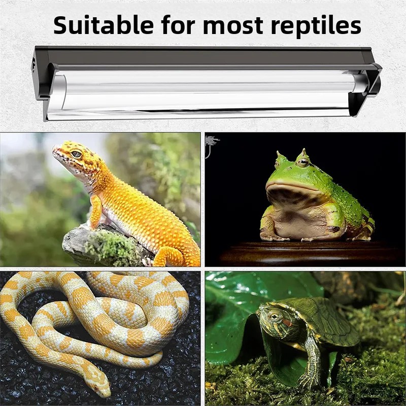 T5 UVB Tüp Entegre Armatürlü C - Calcium Powder Reptile incelemesi ve fiyatı